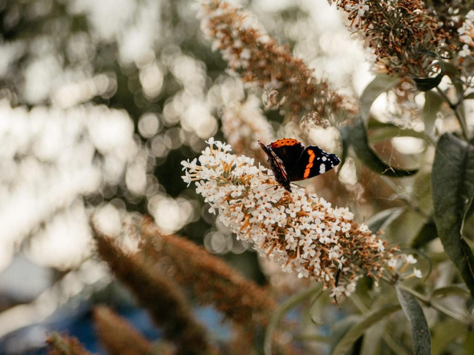 Вилла Purple Papillon Хёвелланд Экстерьер фото